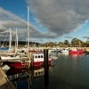 Tasmania - Maria Island o6102